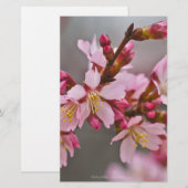 Roze tegen een grijze hemel Japanse Cherry Blossom Briefpapier (Voorkant / Achterkant)