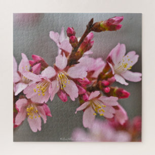 Roze tegen een grijze hemel Japanse Cherry Blossom Legpuzzel