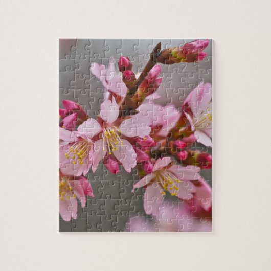 Roze tegen een grijze hemel Japanse Cherry Blossom Legpuzzel (Verticaal)