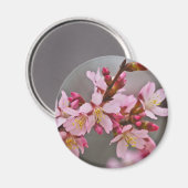 Roze tegen een grijze hemel Japanse Cherry Blossom Magneet (Voorkant / Achterkant)