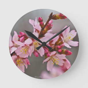 Roze tegen een grijze hemel Japanse Cherry Blossom Ronde Klok