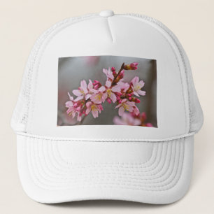 Roze tegen een grijze hemel Japanse Cherry Blossom Trucker Pet