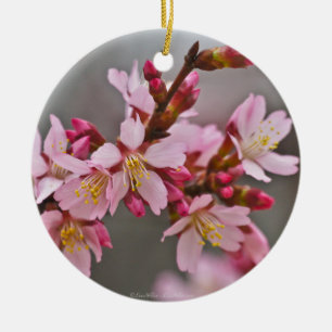 Roze tegen een grijze lucht Japanse Kersenbloesem Keramisch Ornament