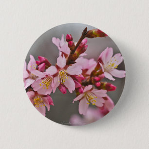 Roze tegen een grijze lucht Japanse Kersenbloesem Ronde Button 5,7 Cm