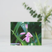 Roze tegen groen briefkaart (Staand voorkant)