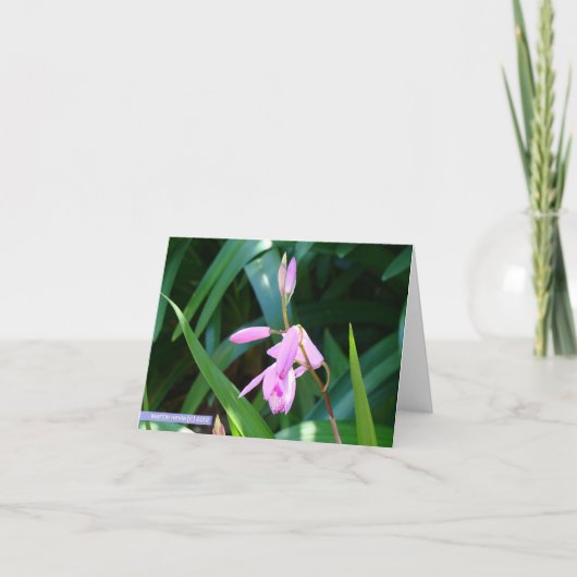 Roze tegen Groen Kaart (Voorkant)