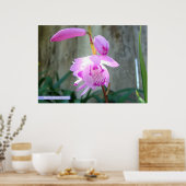 Roze tegen het hek poster (Keuken)