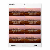 Roze tetonen etiket (Full Sheet)