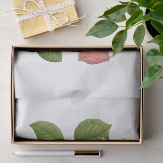  roze theebloemen Rozen Tissuepapier (Geschenk)