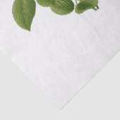  roze theebloemen Rozen Tissuepapier (Detail)