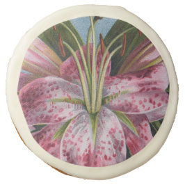 Roze Tiger Lily