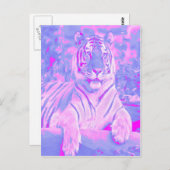 Roze tijger briefkaart (Voorkant / Achterkant)