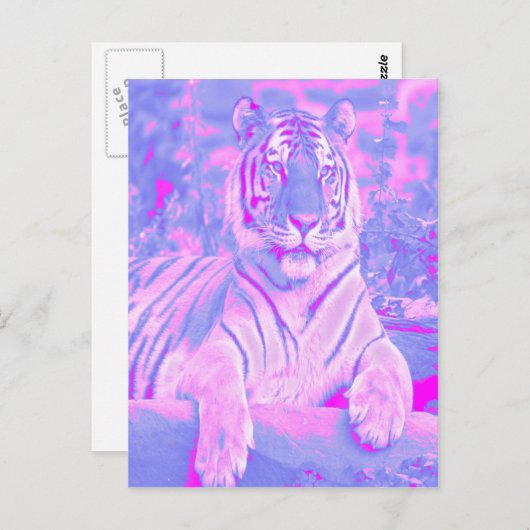 Roze tijger briefkaart (Voorkant / Achterkant)