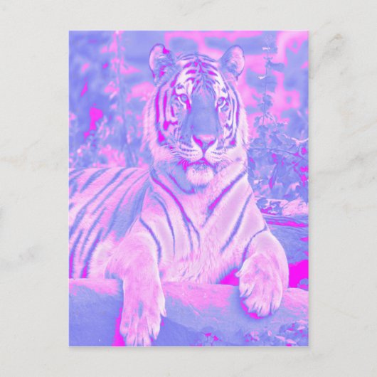 Roze tijger briefkaart (Voorkant)