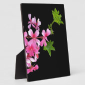 roze tinten op zwart fotoplaat (Zijkant)