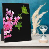 roze tinten op zwart fotoplaat (Zijkant)