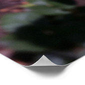 roze tinten poster (Hoek)