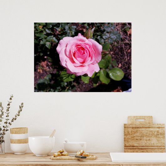 roze tinten poster (Keuken)