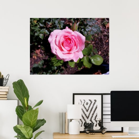 roze tinten poster (Thuiskantoor)