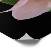 Roze torch Ginger Hawaii Exotic Poster Prints (Hoek)