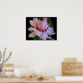 Roze torch Ginger Hawaii Exotic Poster Prints (Keuken)