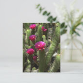 Roze torcilinders briefkaart (Staand voorkant)