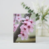  roze torenbloemen briefkaart (Staand voorkant)