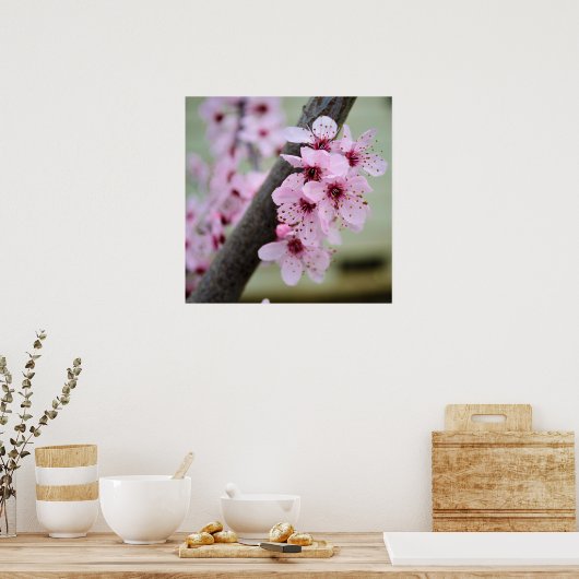  roze torenbloemen poster (Keuken)