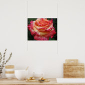 Roze tot gele regenboogRoos Poster (Keuken)