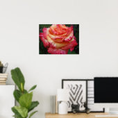 Roze tot gele regenboogRoos Poster (Thuiskantoor)