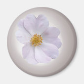 roze tot paars magneet (Voorkant)