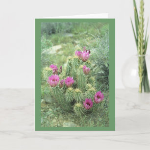 Roze trill Desert Cactus Greet of Note Cards Kaart