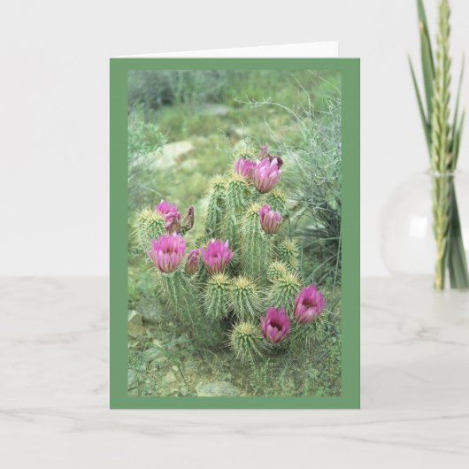 Roze trill Desert Cactus Greet of Note Cards Kaart (Voorkant)