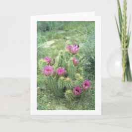 Roze trill Desert Cactus Greet of Note Cards Kaart