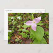 Roze Trillium Bloem Briefkaart (Voorkant / Achterkant)