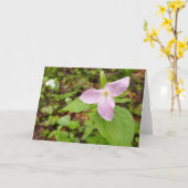 Roze Trillium Bloem Kaart (Gele Bloem)