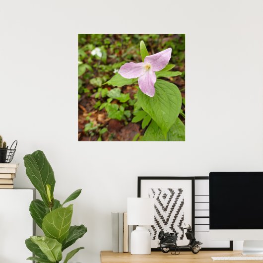 Roze Trillium Bloem Poster (Thuiskantoor)