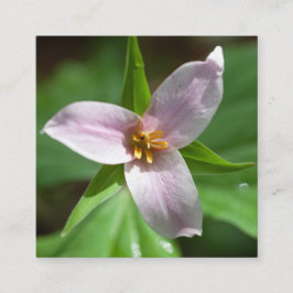 Roze Trillium-wildbloem in boszonlicht Vierkante Visitekaartje