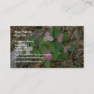 Roze Trilliums, Quebec, Canada. bloemen Visitekaartje