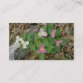 Roze Trilliums, Quebec, Canada. bloemen Visitekaartje (Achterkant)
