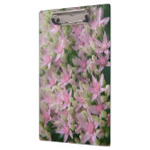 roze, tropische bloemen klembord (Links)