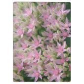 roze, tropische bloemen klembord (Achterkant)