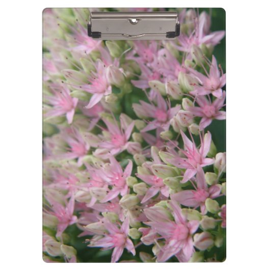 roze, tropische bloemen klembord (Voorkant)