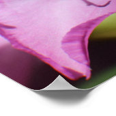 Roze tropische bloemen poster (Hoek)