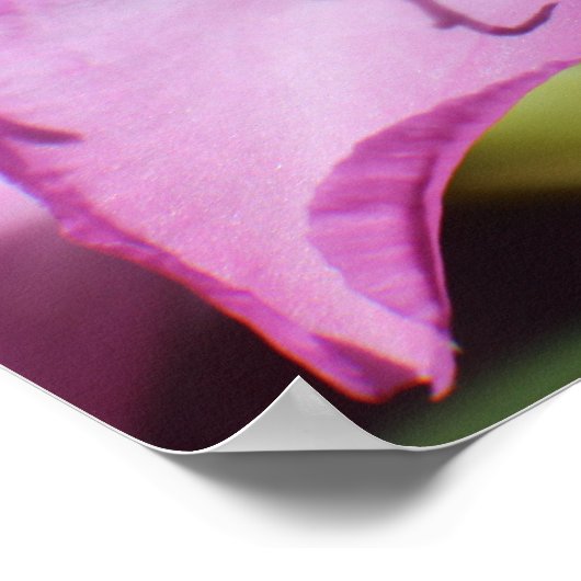 Roze tropische bloemen poster (Hoek)