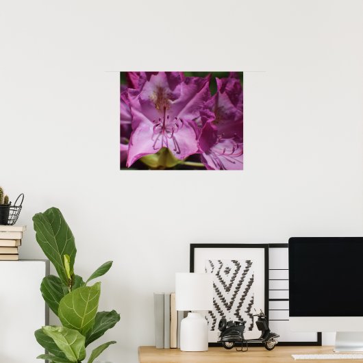 Roze tropische bloemen poster (Thuiskantoor)