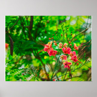 Roze Tropische Bloemfotografie, Weelderig Groen Bo Poster