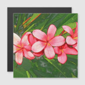 Roze Tropische Frangipani Kunst (Voorkant / Achterkant)
