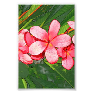 Roze Tropische Frangipani Kunst Foto Afdruk