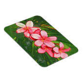 Roze Tropische Frangipani Kunst Magneet (Rechterzijde)